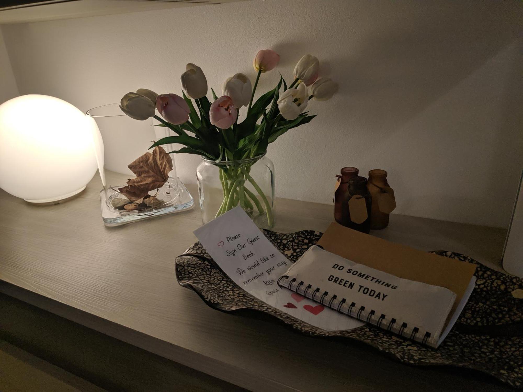 Gaia St Paul'S Bay Modern Cosy Apartment セント・ポールズ・ベイ エクステリア 写真